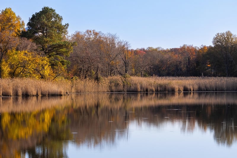 Nature Walk Reflection